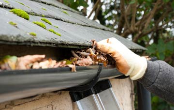 gutter cleaning Wombridge, Shropshire