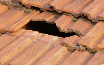 roof repair Wombridge, Shropshire